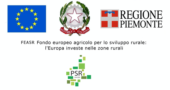 regione piemonte
